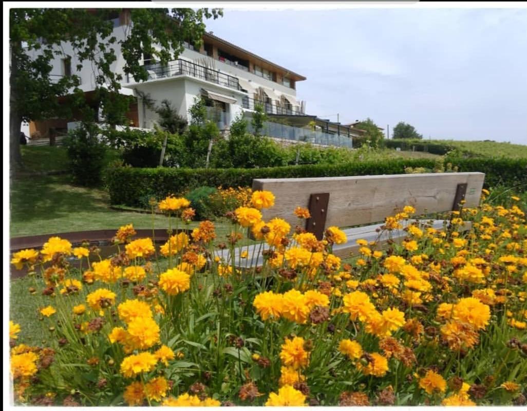 Hotel San Prudentzio Getaria Exterior foto